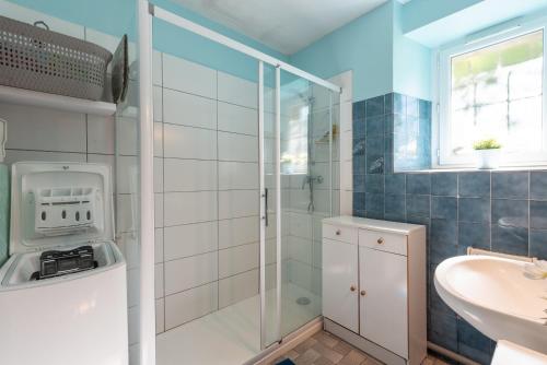 a bathroom with a shower and a sink at Gite Dans Grange Foraine - Baou in Artalens-Souin