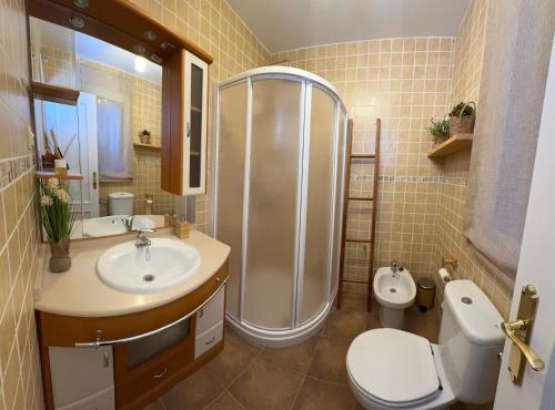 a bathroom with a shower and a toilet and a sink at Casa Rural El Olivo in Segovia