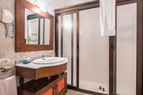 a bathroom with a sink and a shower at Finca Alejandrina in La Guancha