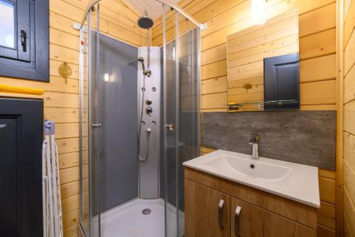 a bathroom with a shower and a sink at Chalet Spa 2 Terrasse des Bouleaux in Ranspach