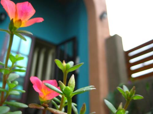 Ein Balkon oder eine Terrasse in der Unterkunft 墾丁好消息民宿Good News