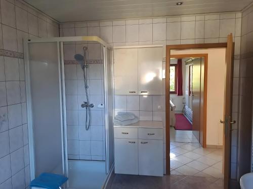 a bathroom with a shower and a sink and a shower at Zweiraum-Ferienwohnung Mitte in Marienberg