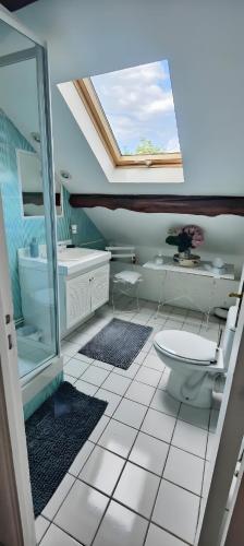 a bathroom with a toilet and a sink and a shower at Les Chambres De Martine Et Guy - in Sermaise