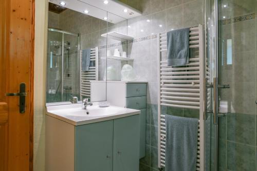 a bathroom with a sink and a shower at L'orée du bois in Yenne