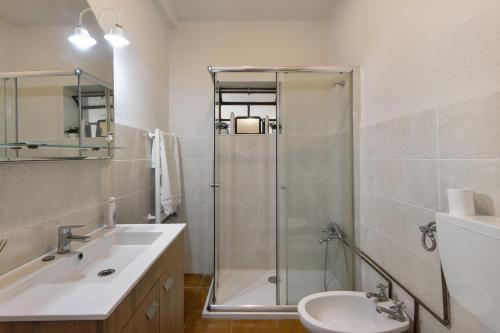 a bathroom with a shower and a sink at Vivenda Barros in Sangalhos