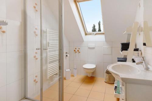 a bathroom with a shower and a toilet and a sink at Reif Markelfingen in Radolfzell am Bodensee