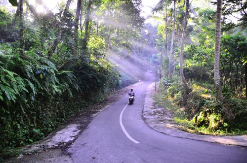 a person riding a motorcycle down a road at Ubud Sawah Scenery Villa and Homestay in Tegalalang