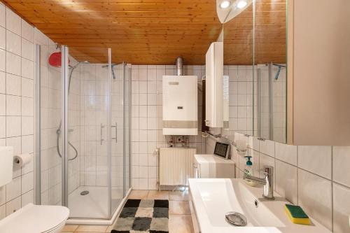 a bathroom with a shower and a sink and a toilet at Holzhaus Grimm in Fedderingen