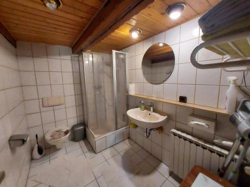 a bathroom with a shower and a sink and a toilet at Unterer Gurethshof in Zell am Harmersbach