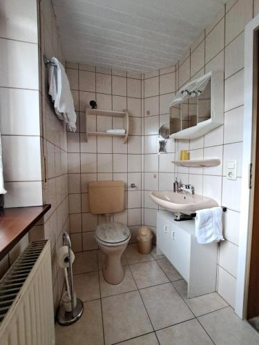 a bathroom with a toilet and a sink at Pension Andrea in Herbstein