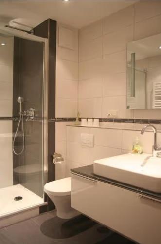 a bathroom with a sink and a toilet and a shower at Apartment für 3, nicht für Monteure in Niederau