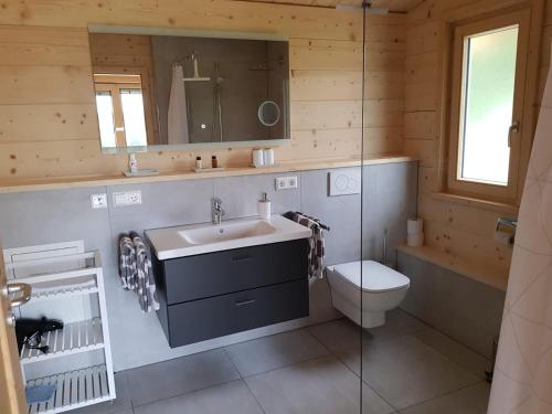 a bathroom with a sink and a toilet and a mirror at Ferienhaus Summerwiese in Ochsenhausen