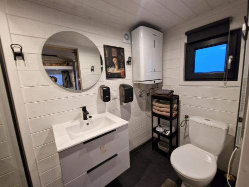 a bathroom with a toilet and a sink and a mirror at Planinski Dom na Travni Gori in Sodražica