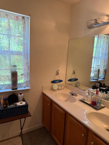 a bathroom with a sink and a mirror at Wonderful room in great neighborhood near Downtown in Richmond