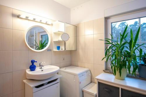 a bathroom with a sink and a mirror and a plant at The House Stiller Grund in Hohenfließ