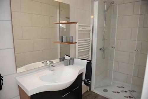 a bathroom with a sink and a shower at Ferienwohnungen Wiese - Nickel 1 in Arnis