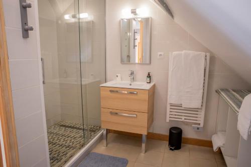 a bathroom with a sink and a shower at Chambres D'hôtes Le Petit Puits in Cheverny