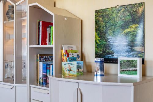 a book shelf with books and a painting on the wall at Sandhasen in Lauterbach