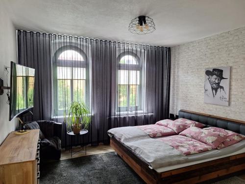 a bedroom with a large bed and two windows at Zillestuben Altenburg in Altenburg