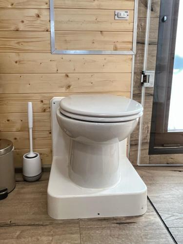 a white toilet in a bathroom with a wooden wall at Gemütliches Hausboot Seeliebe Woma in Fürstenberg