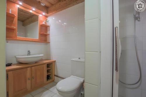 a bathroom with a toilet and a sink and a shower at Chalet Blanchon in Montricher-Albanne