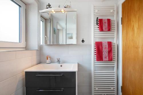 a bathroom with a sink and a mirror and red towels at Ferienwohnung Nordmeer in Kappeln