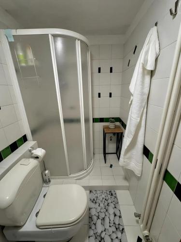 a white bathroom with a shower and a toilet at Apartments San Biagio in Vicenza