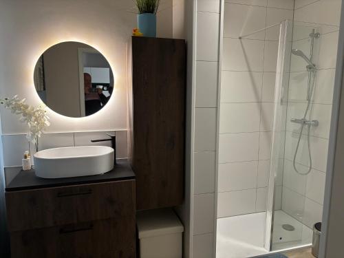 a bathroom with a sink and a mirror at Appartement Calina in Freyming