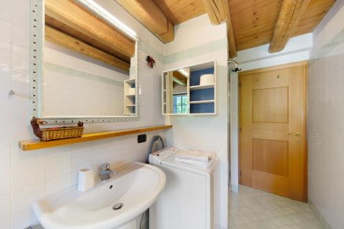 a bathroom with a sink and a washing machine at Villa Cleila Verde B in San Vito di Cadore