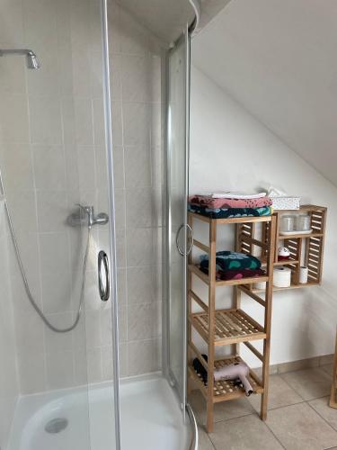 a bathroom with a shower and aanding shower at Mein kleines Reich in Zwickau