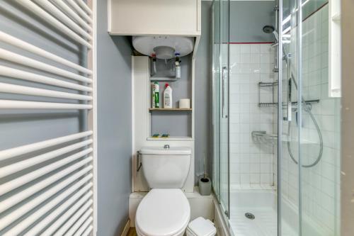 a bathroom with a toilet and a shower at Studio équipé Avec Balcon Fermé in La Morte