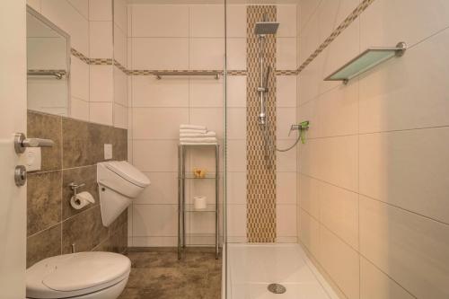 a bathroom with a toilet and a shower at Familien-Apartment 6 in Meersburg