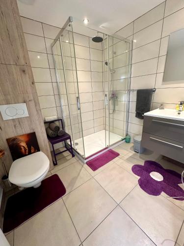 a bathroom with a shower and a toilet and a sink at Gite Cosy Forme et Bien-etre in Masseret