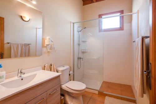 a bathroom with a shower and a toilet and a sink at Casa Quemahierro 1 in Icod de los Vinos