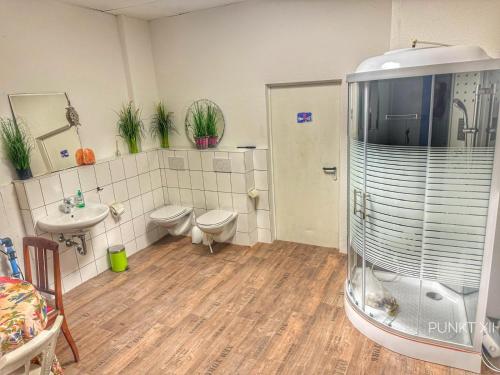 a bathroom with a shower and a toilet and a sink at Wohnung 6 und 7 in Burghaslach