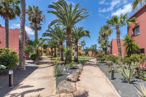 Fuerteventura Apartments Herbania