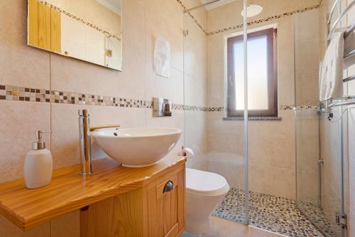 a bathroom with a sink and a toilet and a shower at Monte do Tanoeiro - Casa da Barrica in Rogil