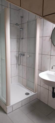 a bathroom with a shower and a sink at Peter in Michelstadt