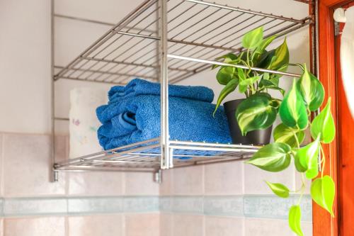 a towel rack with blue towels and a plant at Bilocale Geranium Beach in San Teodoro