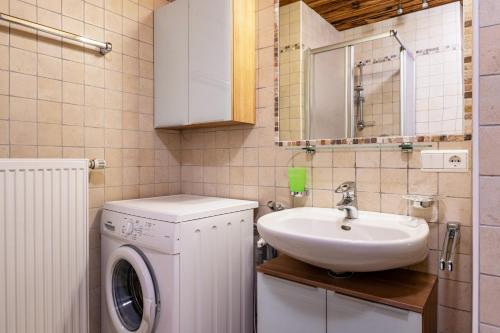a bathroom with a sink and a washing machine at Thomasegg Hof Linde in Sarntal