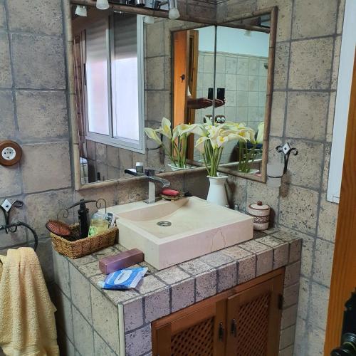 a bathroom counter with a sink and a mirror at Cueva de Manuel in Guadix