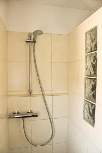 a shower with a shower head in a bathroom at am Hohlebach in Schliengen