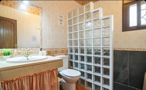 a bathroom with a toilet and a sink and a shower at La Cañada in El Gastor