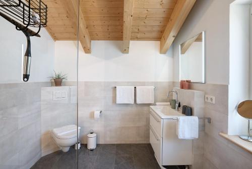 a bathroom with a toilet and a glass shower at Ferienwohnung Schwaiger Almblick in Bad Tölz
