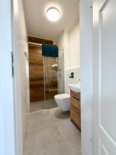 a bathroom with a shower and a toilet and a sink at Willa Karwia in Karwia