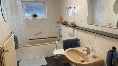 a bathroom with a sink and a toilet and a tub at Heim Lisse in Dietenhofen
