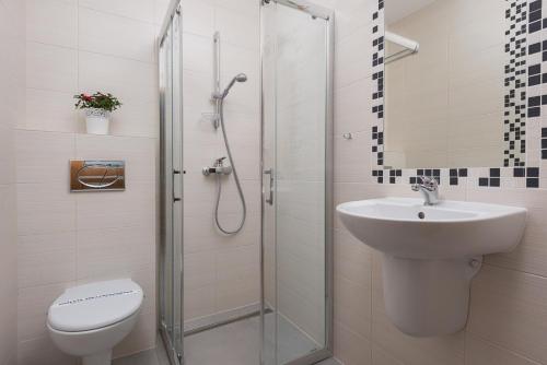 W łazience znajduje się prysznic, umywalka i toaleta. w obiekcie Pasja Karwia w Karwii