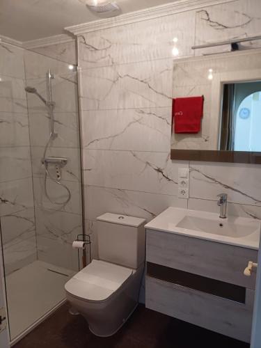 a bathroom with a toilet and a shower and a sink at Casa Cox Laguna Beach Torrox Costa in Torrox Costa