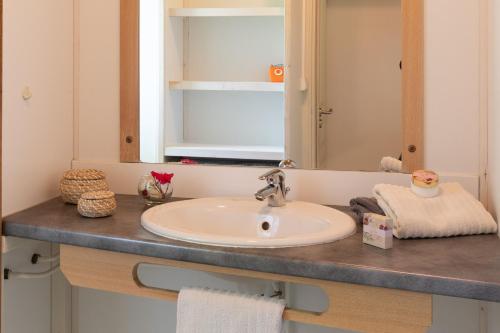a bathroom counter with a sink and a mirror at Maison Chloé - Mas Lachamp in Gravières