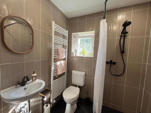 a bathroom with a toilet and a sink and a mirror at Am Conradhof 2 in Goch